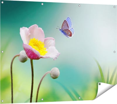 Gards Tuinposter Roze Anemoon Bloem met een Blauwe Vlinder - 120x90 cm - Tuindoek - Tuindecoratie - Wanddecoratie buiten - Tuinschilderij