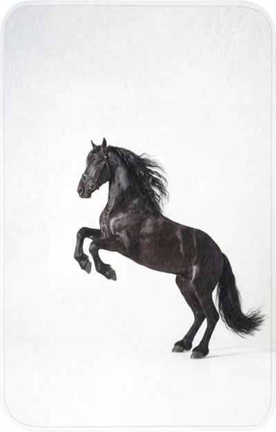 WC mat 50x80 cm - Antislip - Zwart - Paard - Portret - Toiletmat - Vloermat - Douchemat - Toilet tapijt - Toiletmatten