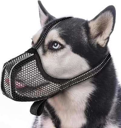 Reflecterende mesh muilkorf voor honden - gifaasbescherming - verstelbare riemen - alle maten geschikt