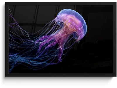 Poster in lijst - Fotolijst 60x40 cm - Posters - Kwal - Doorzichtig - Roze - Tentakels - Posterlijst zwart - Decoratie - Wanddecoratie woonkamer - Muurdecoratie slaapkamer