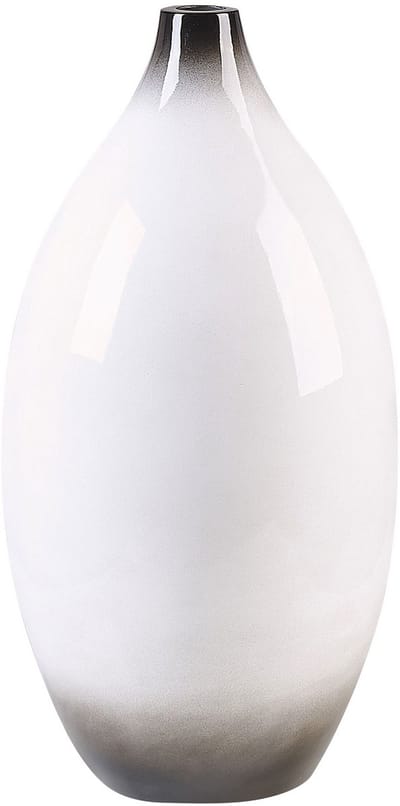 BAEZA - Decoratieve vaas - Wit - Terracotta