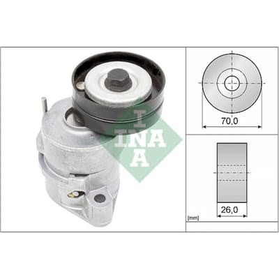 Schaeffler Ina Riemspanner, Poly V-riem INA 534 0102 30