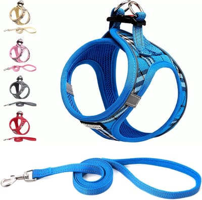 Famanu – Hondentuig Kleine honden met riem - anti-trektuig Reflecterend ademend borsttuig - puppytuig voor kleine - middelgrote honden (M - Blauw geruit)