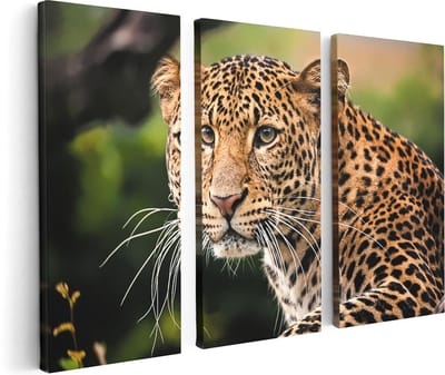 Artaza Canvas Schilderij Drieluik Luipaard Van Dichtbij - 120x80 - Foto Op Canvas - Canvas Print