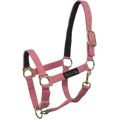 Nylon halster voor paard met leren versterking Umbria Equitazione