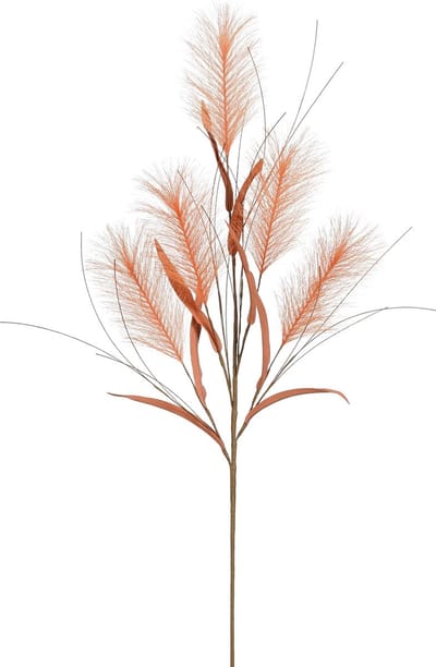 Mica-pluimgras oranje-79x25x25