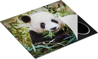 Chefcare Inductie Beschermer Panda Eet Planten - 60x50 cm - Afdekplaat Inductie - Kookplaat Beschermer - Inductie Mat