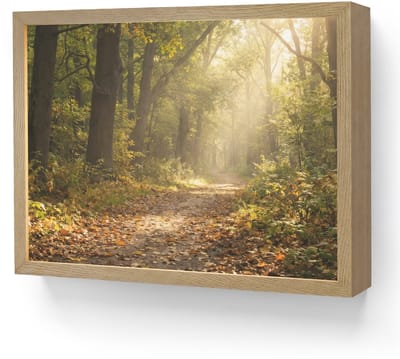 Wandlamp 40x30 cm - Oplaadbaar - Zonlicht - Bospad - Bomen - Wandlampen binnen woonkamer - Slaapkamer lamp - Decoratieve nachtlamp - Vloerlamp draadloos