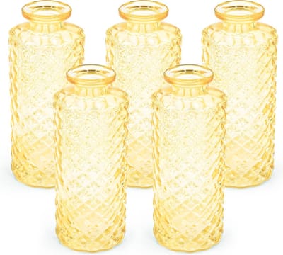 Set van 5 Kleine Glazen Vazen voor Trouwdecoratie - Moderne Vaassen voor Lente en Droogbloemen