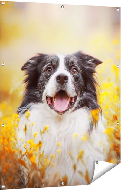 Gards Tuinposter Blije Hond tussen de Bloemen - 90x120 cm - Tuindoek - Tuindecoratie - Wanddecoratie buiten - Tuinschilderij