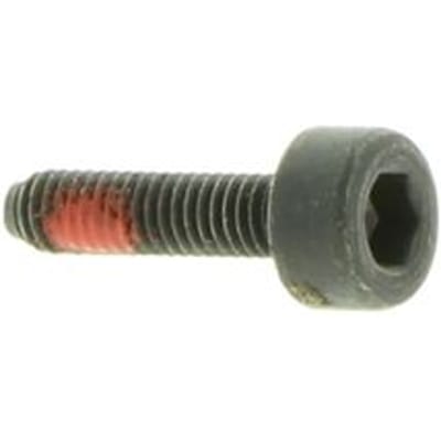 Screw