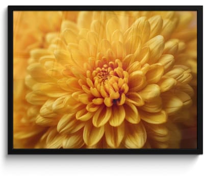 Poster in lijst - Fotolijst 70x50 cm - Posters - Geel - Chrysant - Zachtheid - Posterlijst zwart - Decoratie - Wanddecoratie woonkamer - Muurdecoratie slaapkamer