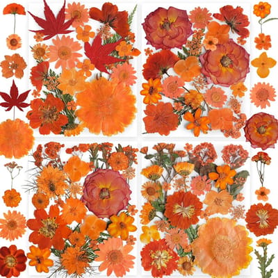 144 Stuks Echte Gedroogde Persbloemen & Vlinder Stickers voor Hars Kunst & Ambachten