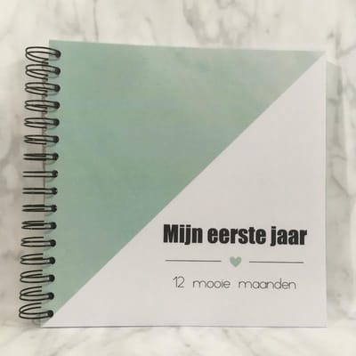Invulboek 'Invulboek 'Invulboek 'Mijn eerste jaar' MINT - fotoboek - baby’s eerste jaar
