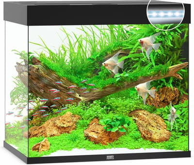 Juwel Lido 200 LED Aquarium - Zwart - 200L - 71 x 51 x 65 cm
