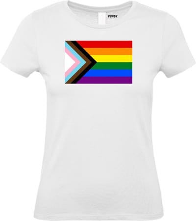 Dames T-shirt LHBTIQ+ Vlag | Gay pride shirt kleding | Regenboog kleuren | LGBTQ | Wit dames | maat XS
