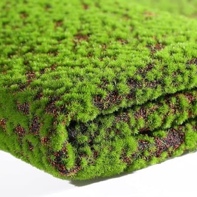 Kunstmos Mat - Nep Gras Tapijt - Tuin Decoratie - Realistisch Groen - 100 x 100 cm - Groen