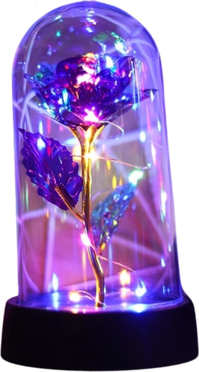 Bovista Onsterfelijke Roos - Roos In Glas - In Stolp - Galaxy - Roos In Glazen Stolp - Roos In Doos - Valentijn Cadeautje Voor Haar - Valentijn Cadeautje Voor Hem - Paars