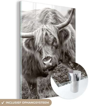 MuchoWow® Glasschilderij 120x160 cm - Schilderij acrylglas - Schotse Hooglander - Zwart - Wit - Hoorns - Foto op glas - Schilderijen