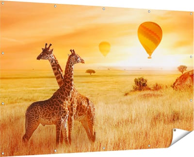 Gards Tuinposter Twee Giraffen met Twee Oranje Luchtballonnen - 180x120 cm - Tuindoek - Tuindecoratie - Wanddecoratie buiten - Tuinschilderij