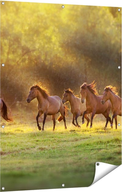 Gards Tuinposter Kudde Bruine Paarden in de Wei - 90x120 cm - Tuindoek - Tuindecoratie - Wanddecoratie buiten - Tuinschilderij