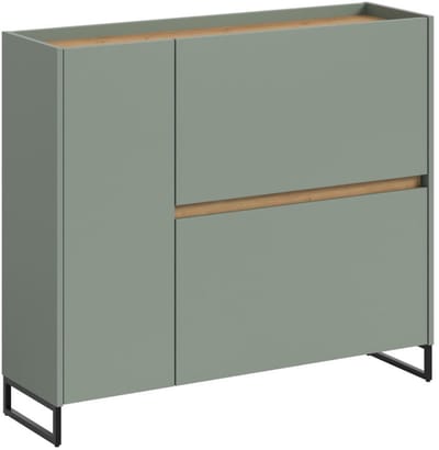 Drive schoenenkast 1 deur, 2 vouwdeuren salvie decor.