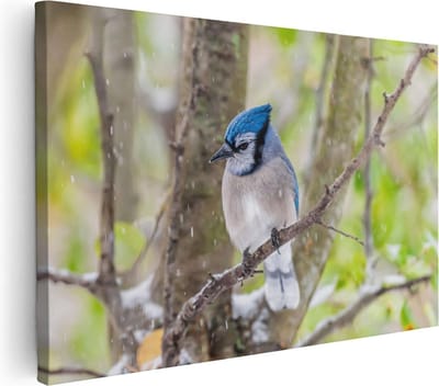 Artaza Canvas Schilderij Blauwe Gaai - 30x20 cm - Klein - Wanddecoratie Tak - Muurdecoratie Bos - Kamer Accessoires Woonkamer