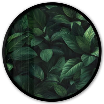 Poster in lijst Rond - Fotolijst 40x40 cm - Posters - Bladeren - Ovaal - Groen - Nerven - Ronde posterlijst zwart - Decoratie - Wanddecoratie woonkamer - Muurdecoratie slaapkamer