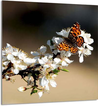 TMK ArtDeko - Snijplank - Glas - 60x65 cm - Hartvormig
