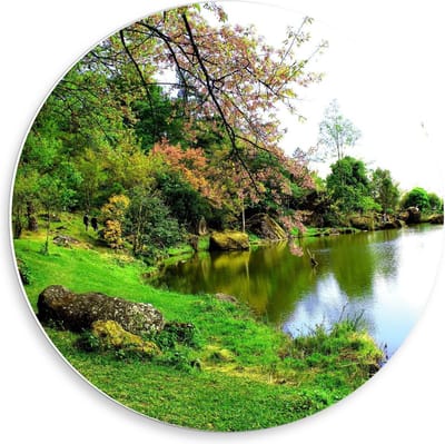 Forex Wandcirkel - Rivier bij Bos - 50x50cm Foto op Wandcirkel (met ophangsysteem)