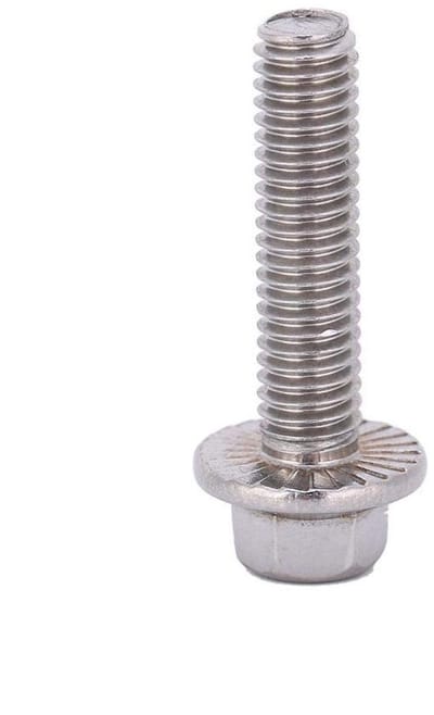 Dailygoods- Schroeven 10 stuks - M6 Flens - Roestvrij Staal 304 - Zeskant Bouten - Corrosiebestendig - Voor Bevestigingen - Bevestigingsmiddelen
