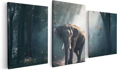 Artaza Canvas Schilderij Drieluik Olifant In Het Bos Met Zonneschijn - 120x60 - Foto Op Canvas - Canvas Print