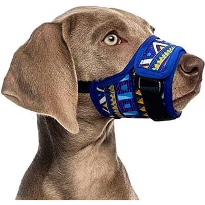 Hondenmuilkorf voor Kleine Grote Honden Verstelbaar Mesh Ademend Anti Blaffen Huisdier Mondmuilkorven voor Honden Nylon Riemen Hondenaccessoires M