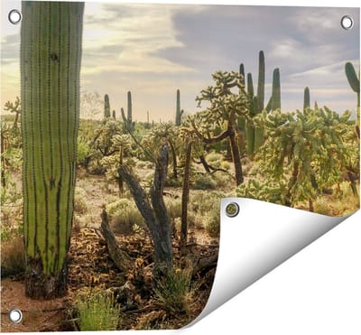 Gards Tuinposter Cactus Planten in het Wild - 50x40 cm - Tuindoek - Tuindecoratie - Wanddecoratie buiten - Tuinschilderij