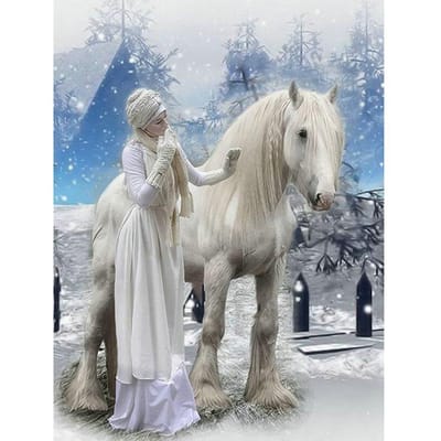 vrouw en wit paard foto kruissteek volledige diamant handmatige mozaïek woondecoratie 50X70CM