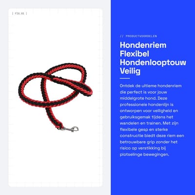 Dailygoods- Hondenriem Professionele Veiligheid - Flexibele Gesp - Zware Uitvoering - Geschikt voor Middelgrote Honden - 1 Meter Lang - Ideaal voor Wandelen en Trainen - Hondenlijn