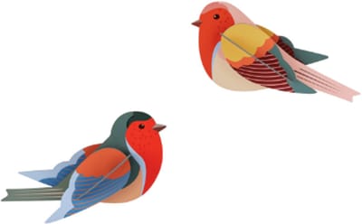 Studio Roof wanddecoratie vogels Robins