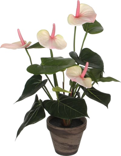 Mica Decorations Kunstplant Anthurium - lichtroze - 40 cm - in grijze pot - nepplant - kamerplant