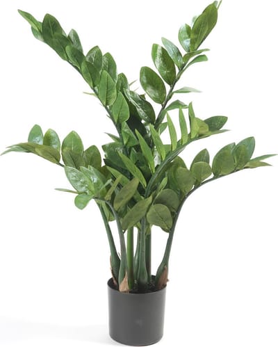 Emerald - Kunstplant Zamioculcas 70cm - Kunstplant voor binnen