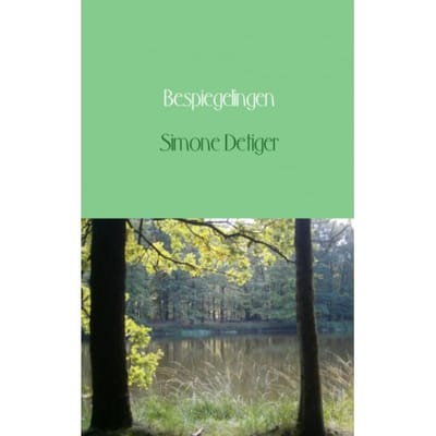 Bespiegelingen - Simone Detiger