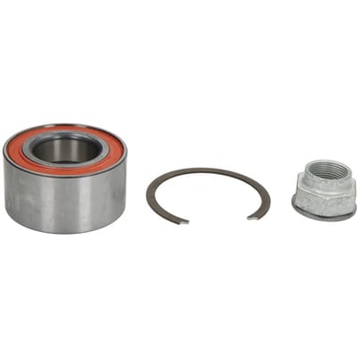 Schaeffler Fag Wiellagerset FAG 713 6905 10