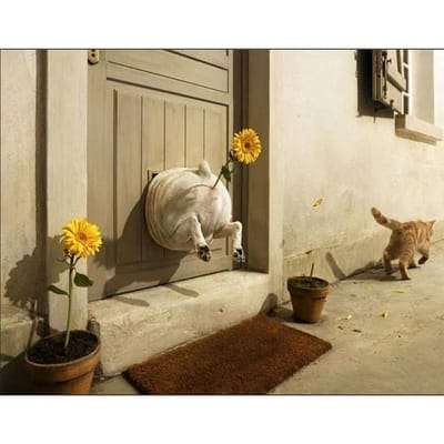 Peinture Diamant Exquise Point de Mosaïque Chat et Chien Image de Guerre Décoration de Maison 30x30CM beige