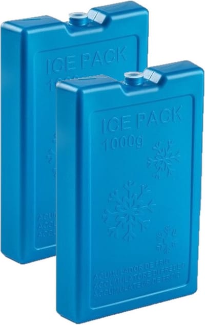 Plasticforte 1000 grams koelelementen - 2x stuks - 22 x 14 x 3 cm - blauw - kunststof - met sneeuwvlokken print - koeltas - koelbox