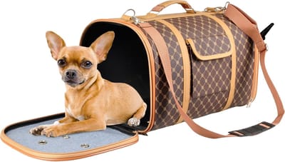 Transporttas Hond - Reistas Dier - Veilig Vervoer - Lichtgewicht Ontwerp - 45x26x26 cm - Zwart