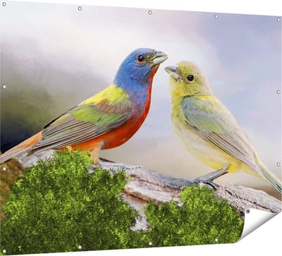 Gards Tuinposter Getekende Gorzen Vogels - Kleur - Abstract - 160x120 cm - Tuindoek - Tuindecoratie - Wanddecoratie buiten - Tuinschilderij