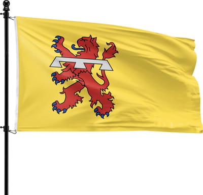 VlagDirect - Teylingen vlag - Gemeente Teylingen vlag - 90 x 150 cm.