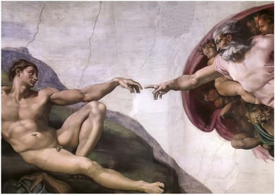 Educa legpuzzel The Creation of Adam Michelangelo 1000 stukjes volwassenen.