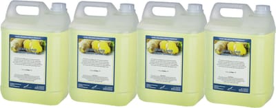 Body & Hair Fresh Ginger 5 Liter - set van 4 stuks - 2 in 1 voor lichaam en haar.