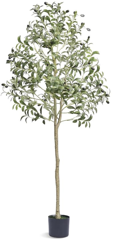 Cherrys Finds - Kunst Olijfboom - Olijfboom Kunstplant 155cm - Kunstboom Olijf - Kunst Olijfboom Voor Binnen En Buiten - Met Zwarte Pot