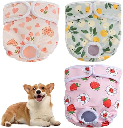 Set van 3 Herbruikbare Hondenluier voor Vrouwelijke Honden, Lekvrije en Wasbare Dog Panties voor Drachtige en Incontinent Honden